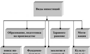 Assessment of the impact of human capital on the economic development of Russia